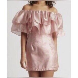 NWT Choosy Copper Rose Organza Dress - NWT Pink Shimmer - Size Small